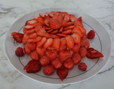 Fraisier 100% fruits